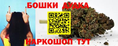 PSILOCYBIN Камышлов