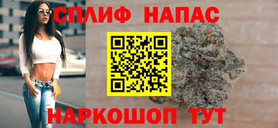 тгк Канаш